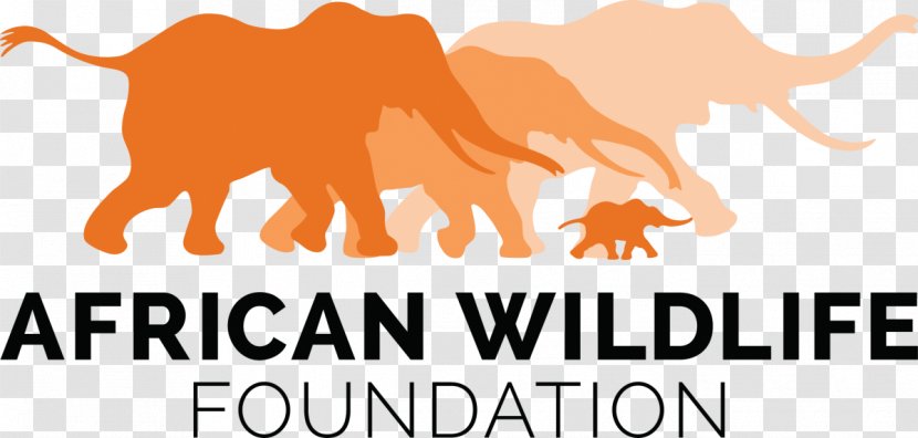 African Wildlife Foundation Organization Elephant - Conservation - Funds Transparent PNG