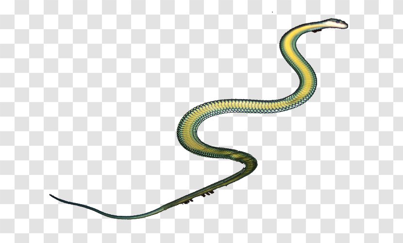 Snake Mambas Isthmus Of Tehuantepec Cobra - Mamba - Indian Transparent PNG