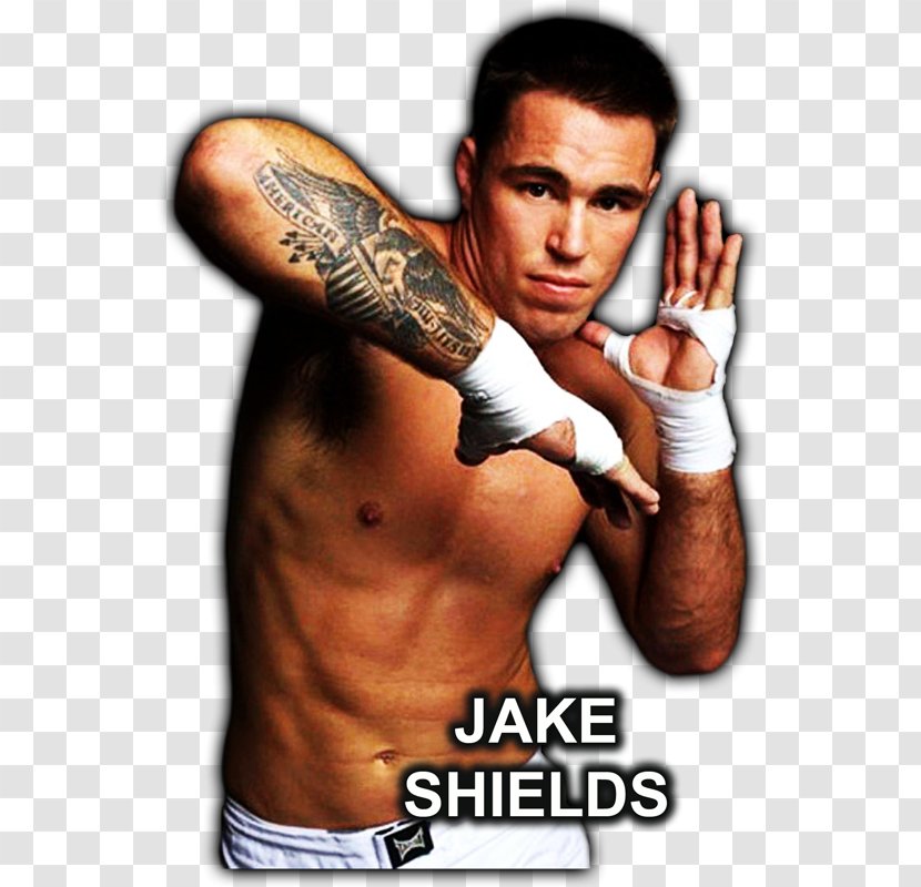 Jake Shields Ultimate Fighting Championship Mixed Martial Arts Boxing - Tree Transparent PNG