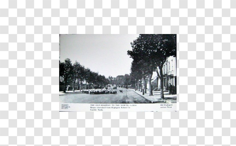 Paper Picture Frames Land Lot White - Winter - Road Hill Transparent PNG