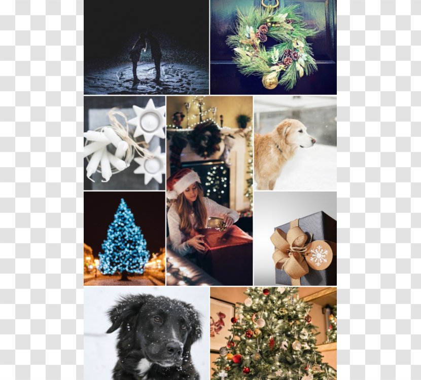 Dog Breed Christmas Ornament Tree - Discount Posters Transparent PNG