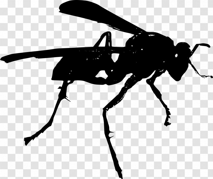 Bee Hornet Wasp Clip Art - Arthropod Transparent PNG