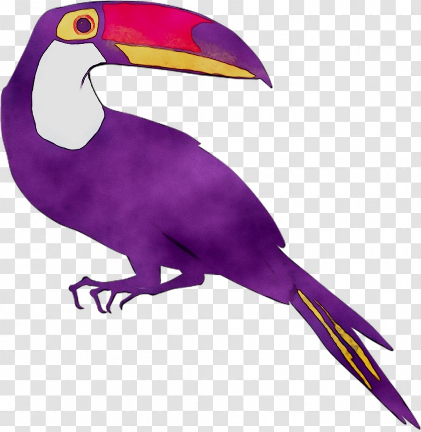 Toucan Beak Clip Art Purple Fauna - Feather Transparent PNG