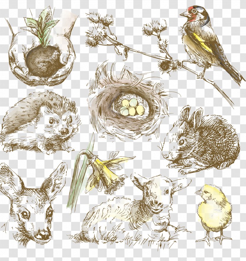 Drawing Animal Royalty-free Illustration - Fauna - Hand-painted Animals Artwork Transparent PNG