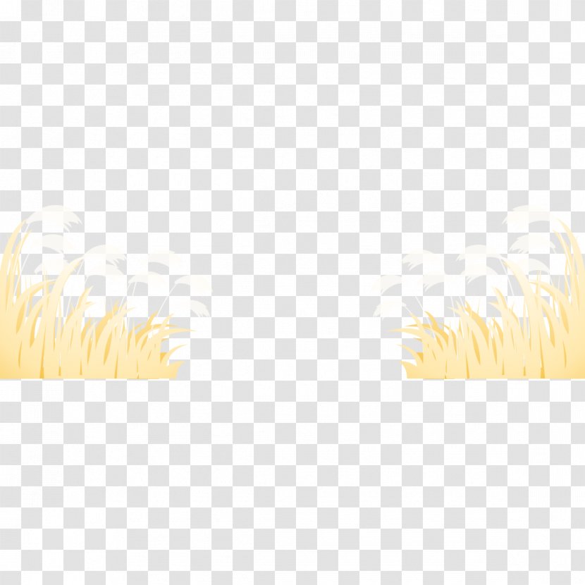 Yellow Google Images Icon - Grass Material Transparent PNG