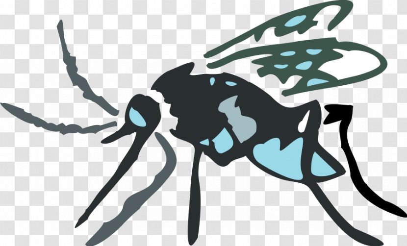 Insect Clip Art Transparent PNG