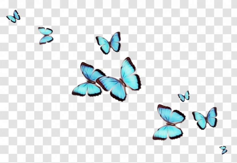 Turquoise Blue Aqua Butterfly Azure - Moths And Butterflies - Wing Insect Transparent PNG