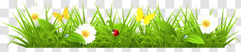 Flower Clip Art - Lawn - Green Flowers, Bushes Transparent PNG