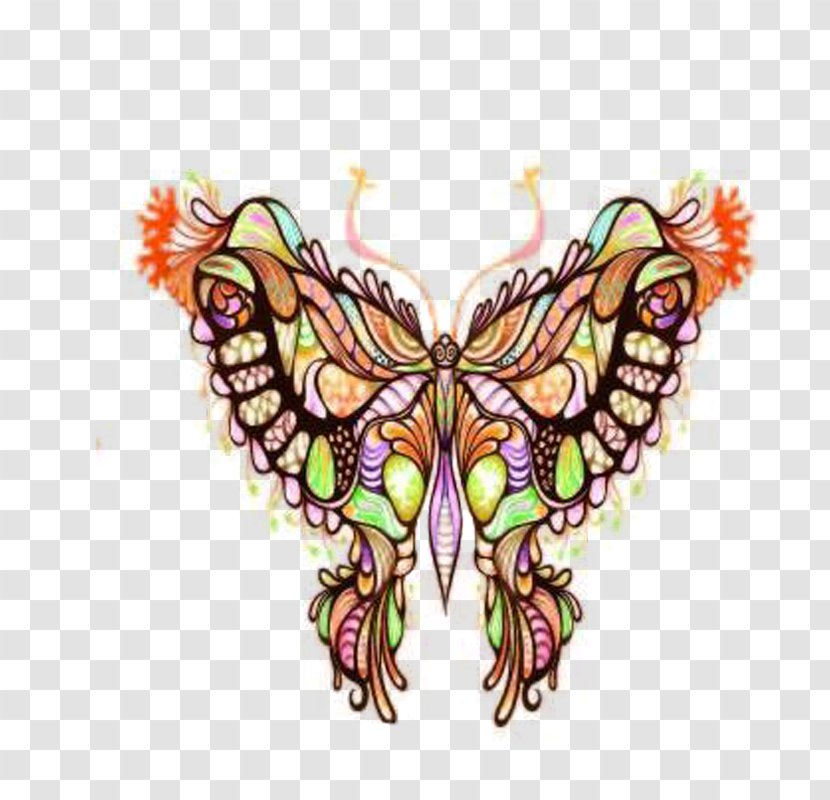 Butterfly Pattern - Moth Transparent PNG