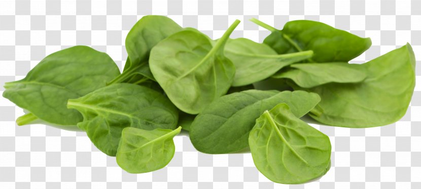 Healthy Diet Food Vitamin Eating - Ingredient - Spinach Leaf Transparent PNG