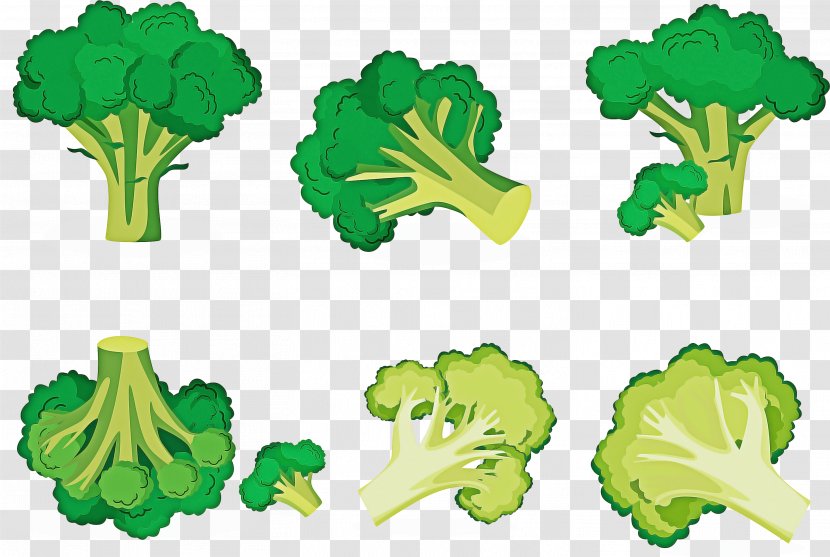 Vegetables Cartoon - Vegetable - Plant Lettuce Transparent PNG
