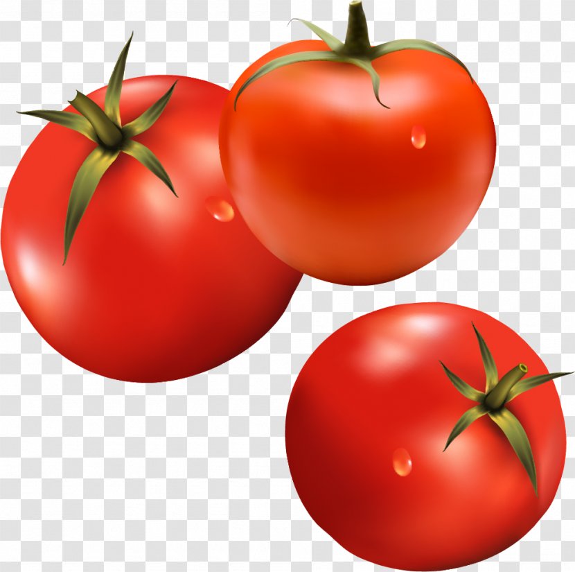 Hamburger Tomato Vegetable Ketchup - Tomatoes Material Transparent PNG