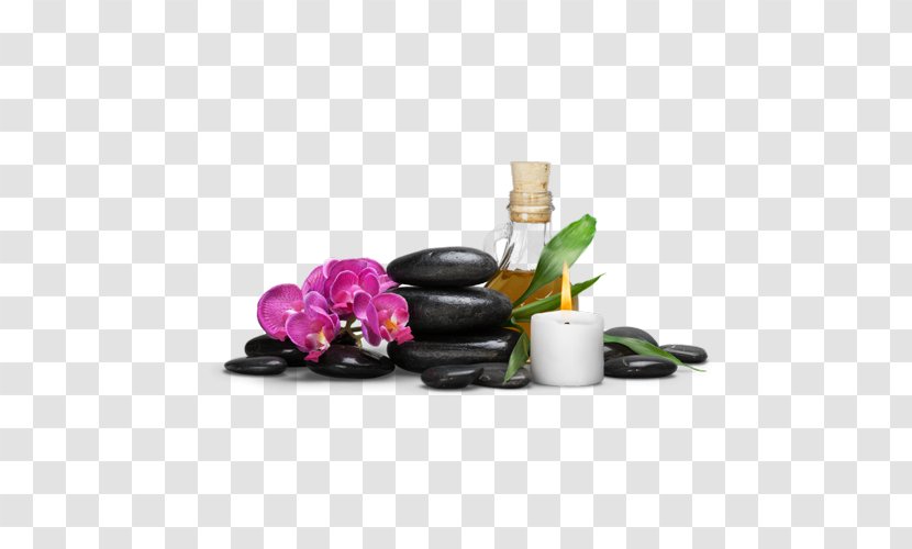 Perfume Massage Wax Physical Therapy Therapiezentrum Im Kamp - Spa Transparent PNG
