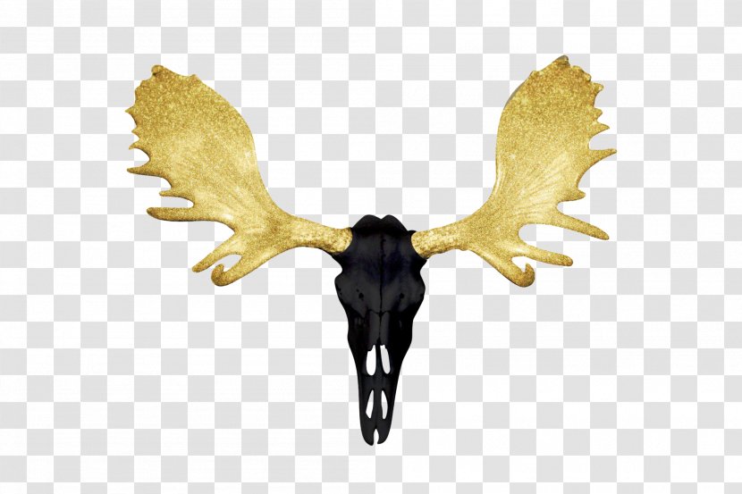 Skull Antler Horn Deer Bison - Gold Transparent PNG