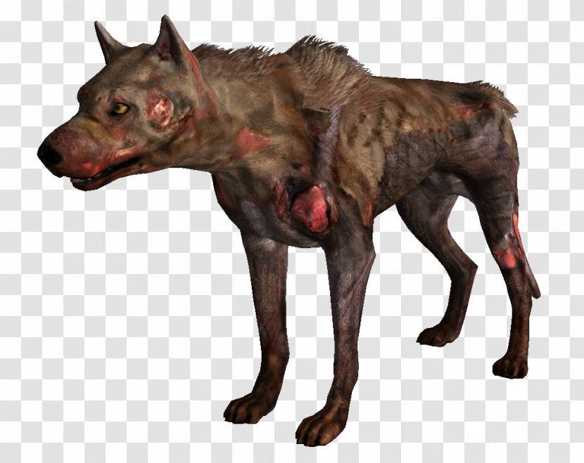 Fallout 3 Fallout: New Vegas 4 Wasteland Dog - Wiki - Dogs Transparent PNG