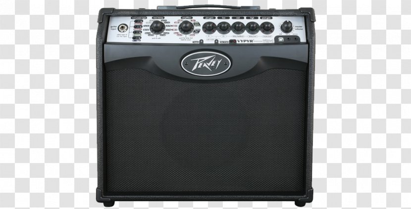 Guitar Amplifier Peavey Vypyr VIP 1 Electronics 2 - Flower - Musical Instruments Transparent PNG