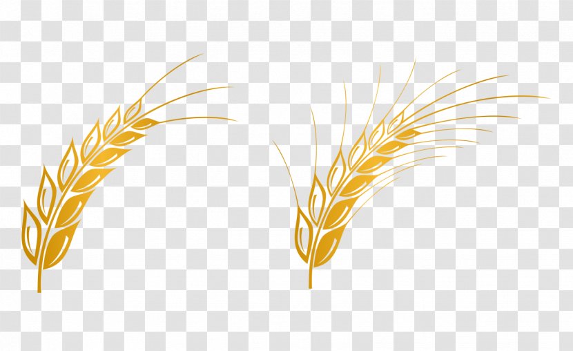 Euclidean Vector Gratis Computer File - Commodity - Wheat Material Free Transparent PNG