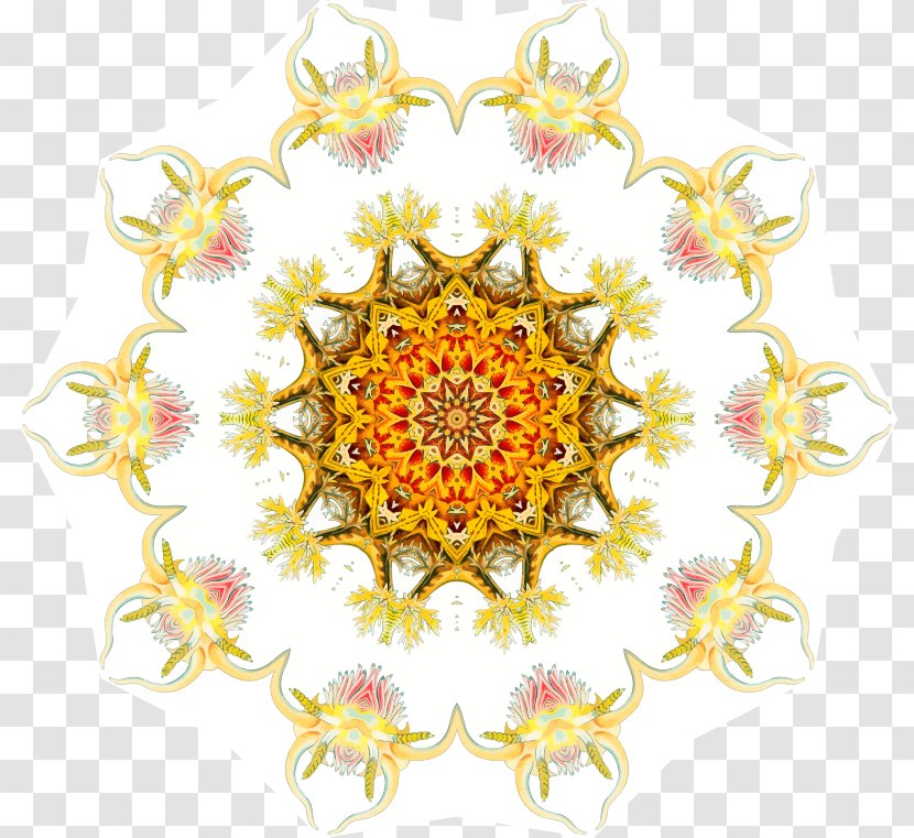 Organism Yellow Flower - Ornament Transparent PNG