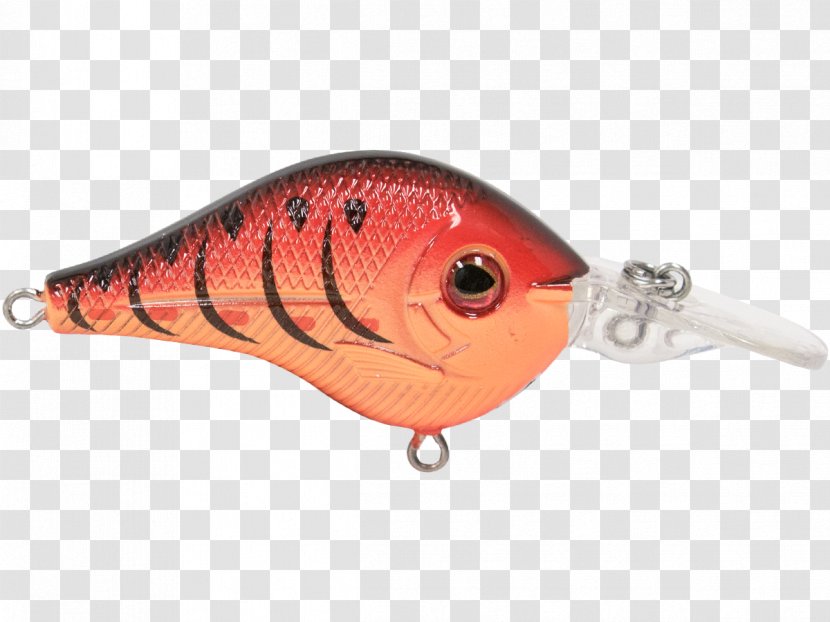Spoon Lure Perch Fish AC Power Plugs And Sockets - Fishing Transparent PNG