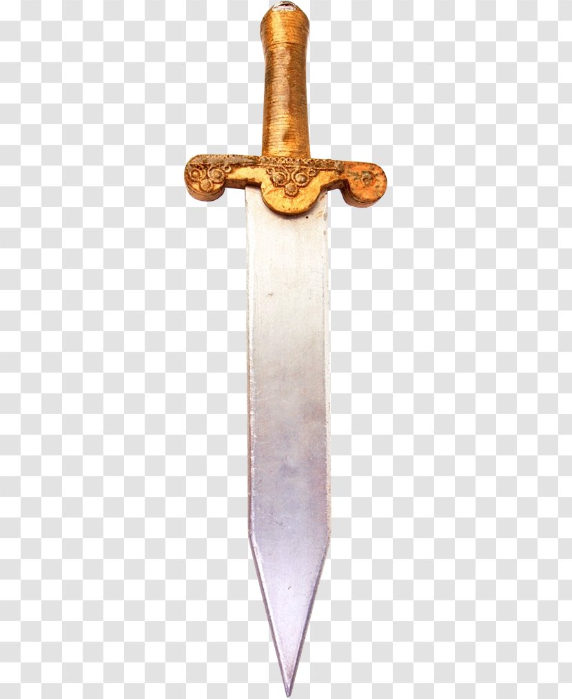 Sword Dagger Warriors Princess Transparent PNG
