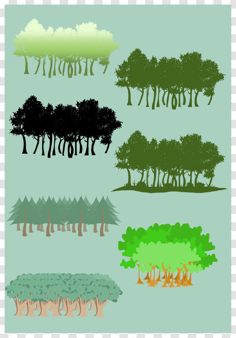 International Day Of Forests Silhouette - Forest - Rainforest Vector Transparent PNG