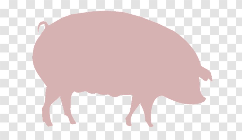 Domestic Pig Agriculture Farm Clip Art - Farming Transparent PNG