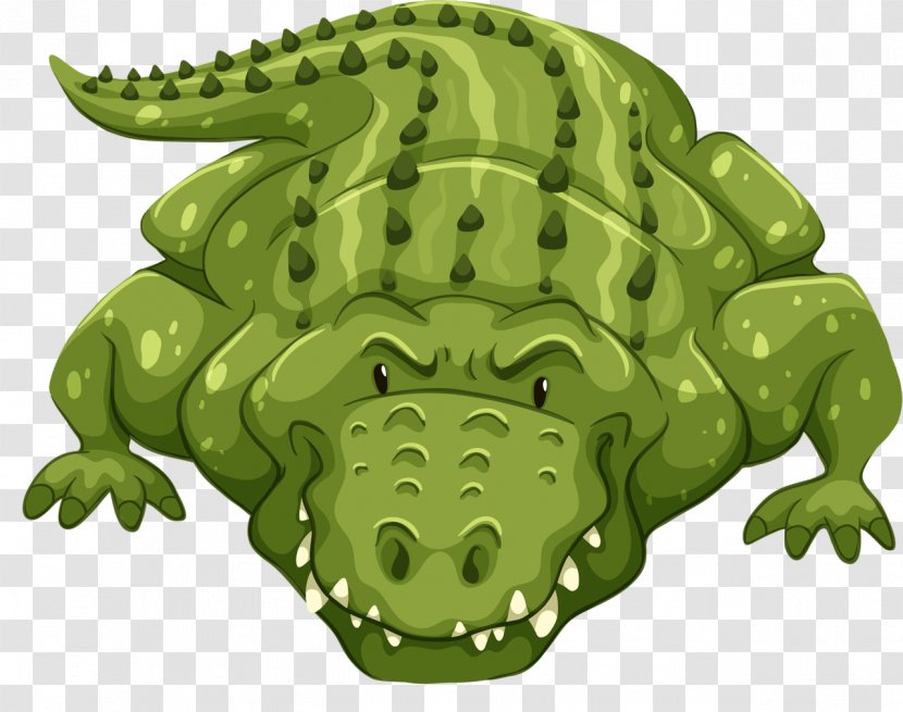 Crocodile Alligators Clip Art Vector Graphics Stock Photography - Fotosearch Transparent PNG