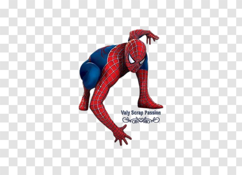 Spider-Man Color Scheme Coloring Book Image - Drawing - Spiderman Transparent PNG