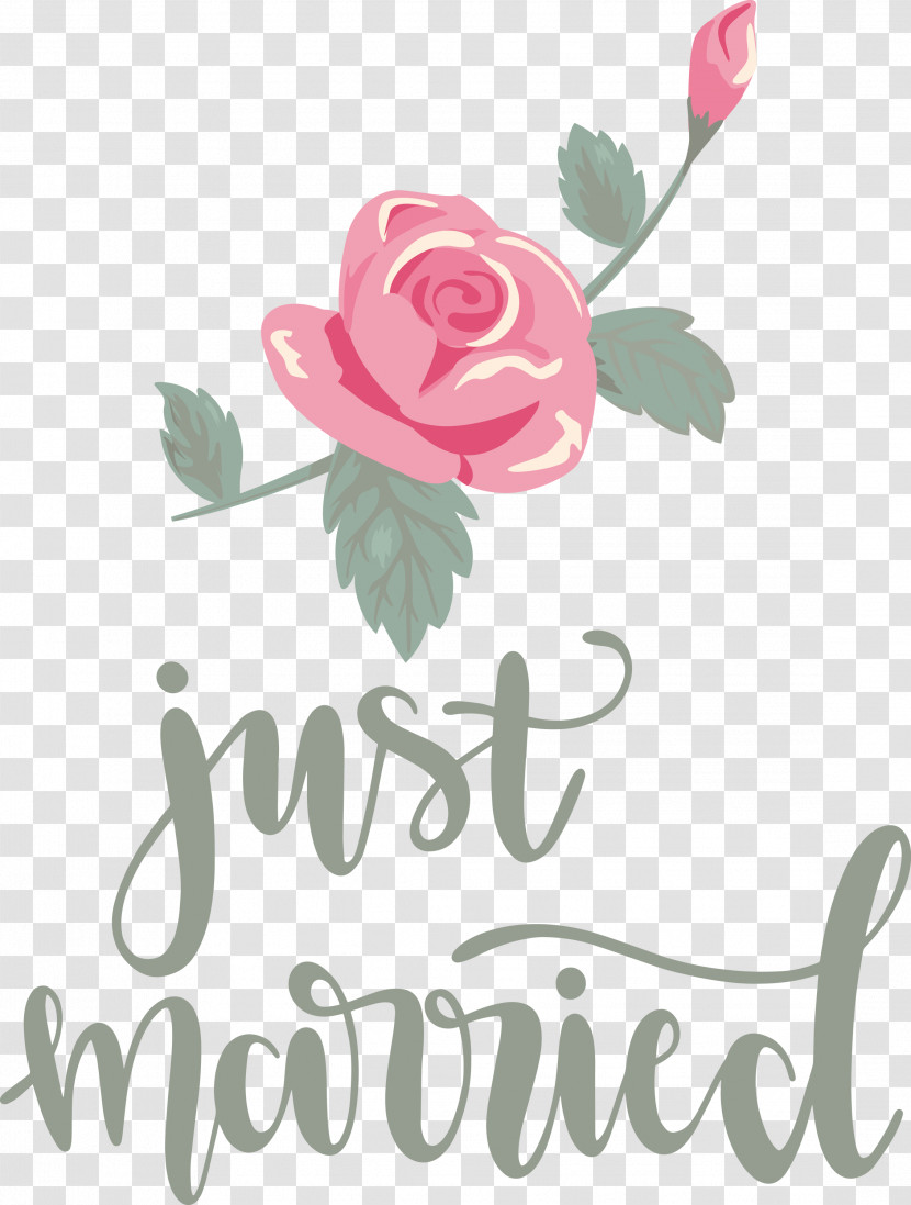 Just Married Wedding Transparent PNG