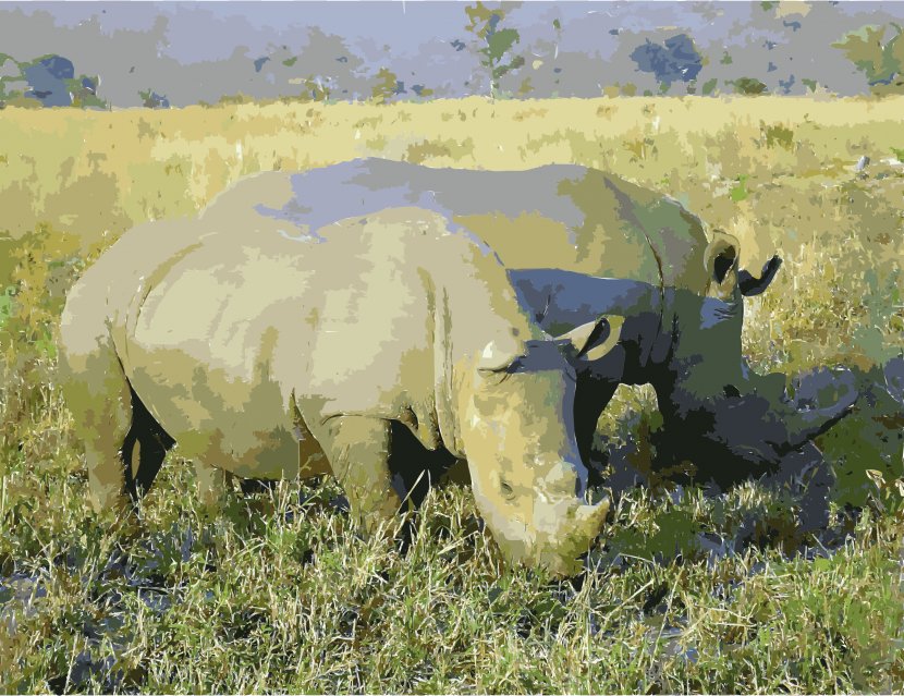 South Africa Rhinoceros Wildlife Animal Horn - White - Rhino Transparent PNG