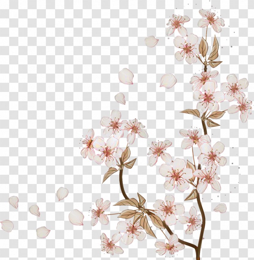 Cherry Blossom Floral Design Wedding Spring - Pedicel Transparent PNG