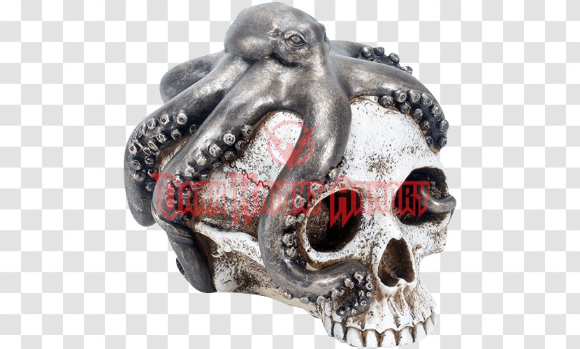 Octopus Skull Clothing Glass Head Transparent PNG