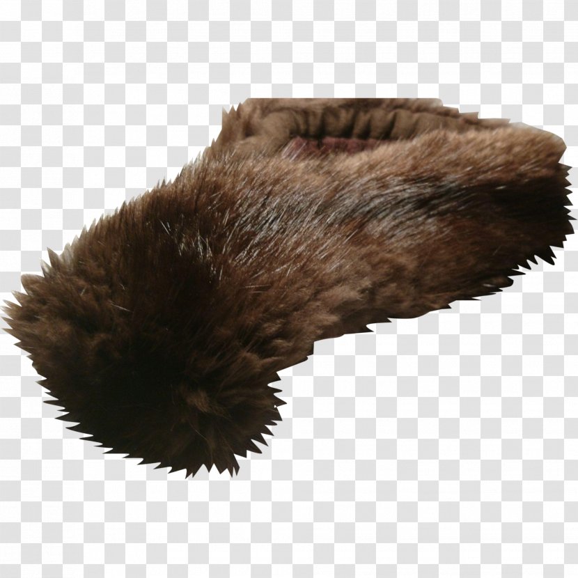 Fur Shoe Snout Brown - Raccoon Transparent PNG
