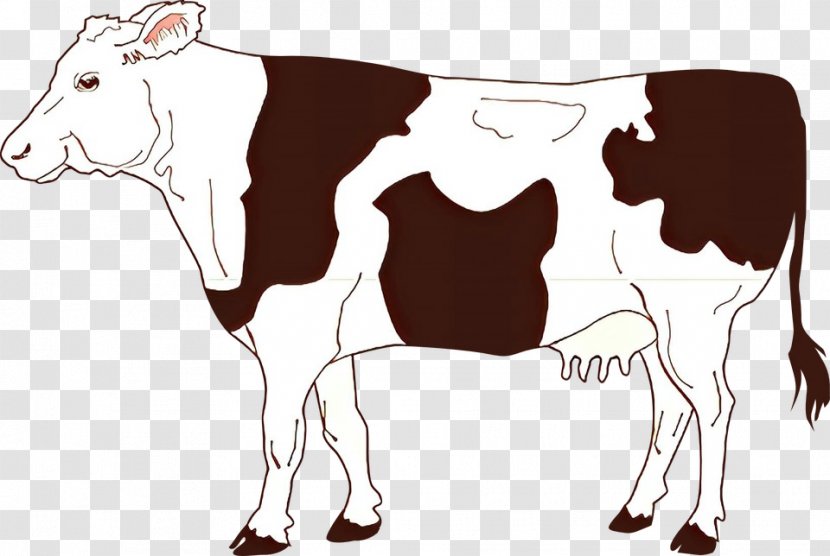 Clip Art Vector Graphics Drawing Angus Cattle Dairy - Fawn Transparent PNG