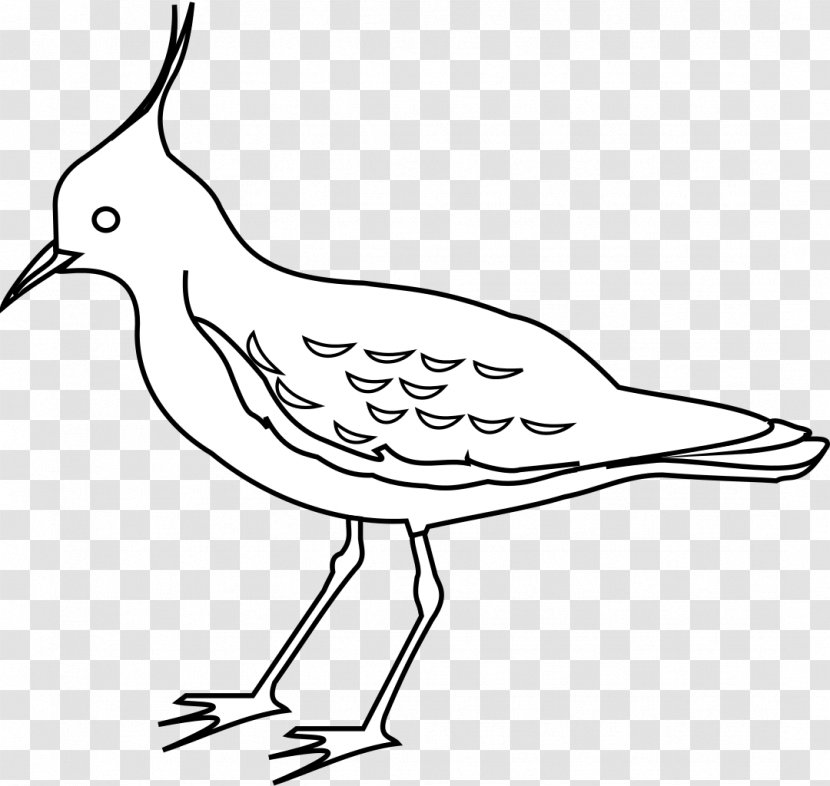 Clip Art Bird Drawing Northern Lapwing Image Transparent PNG