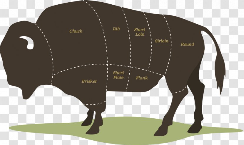 American Bison Beefsteak Meat Beef Tenderloin - Pig Like Mammal Transparent PNG
