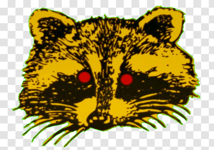 Whiskers Bright Eyes Lights Raccoon Tiger - Cat Like Mammal - Light Transparent PNG