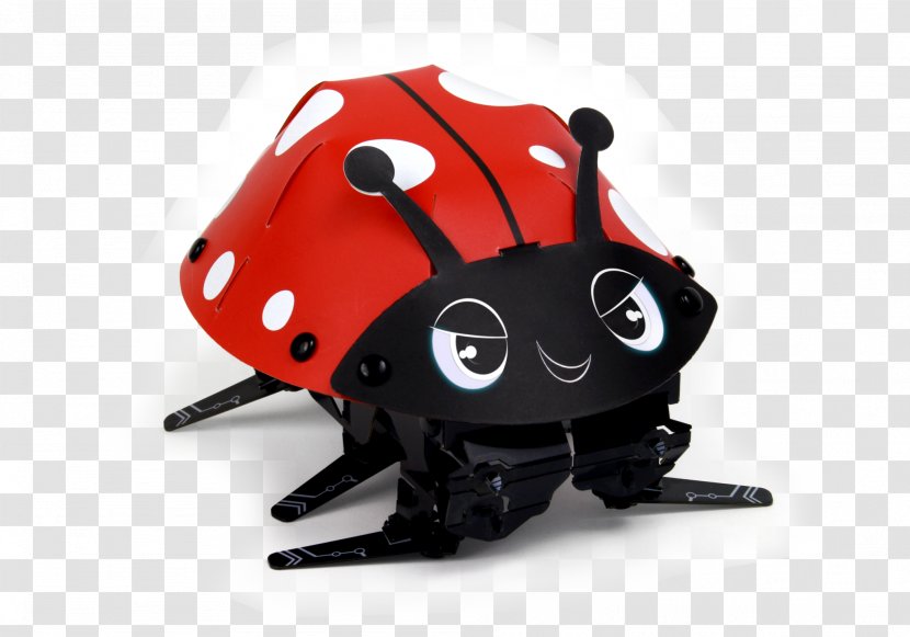 Ladybird Beetle Robot Kit Technology - Invertebrate Transparent PNG