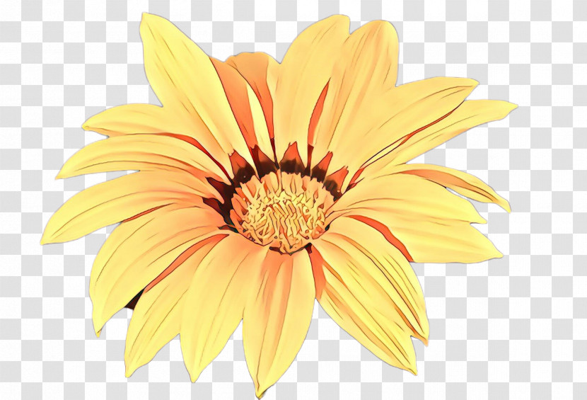 Gerbera Petal Flower Yellow Barberton Daisy Transparent PNG