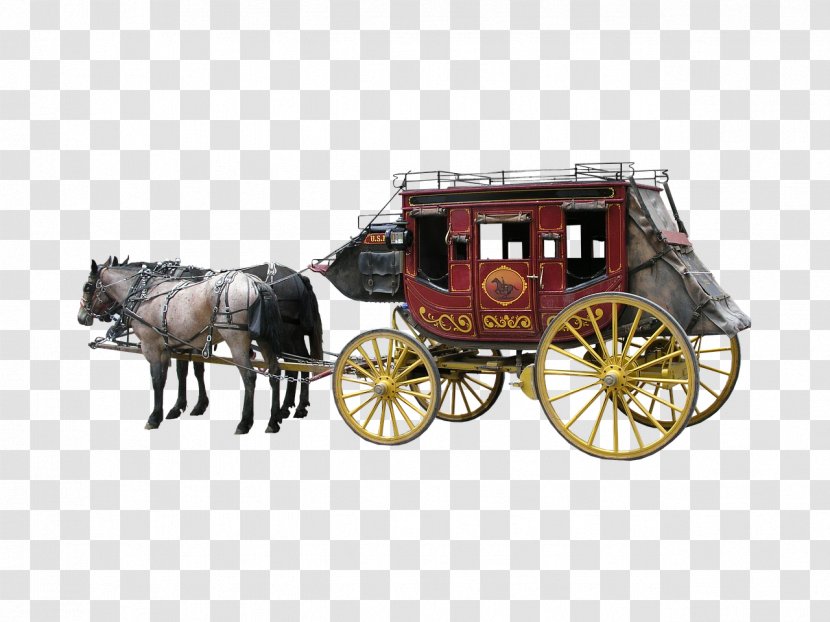 Horse And Buggy Equestrian Carriage Horse-drawn Vehicle - Horsedrawn Transparent PNG