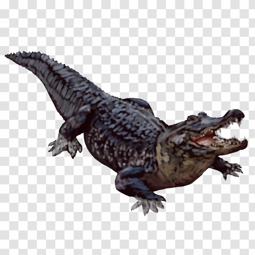 American Alligator Crocodiles - Transparent Background Transparent PNG