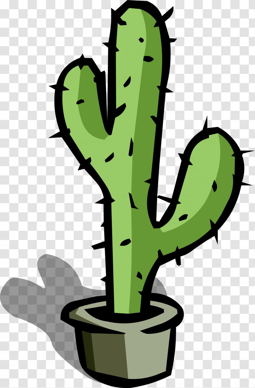 Cactaceae Clip Art - Artwork - Suculent Transparent PNG