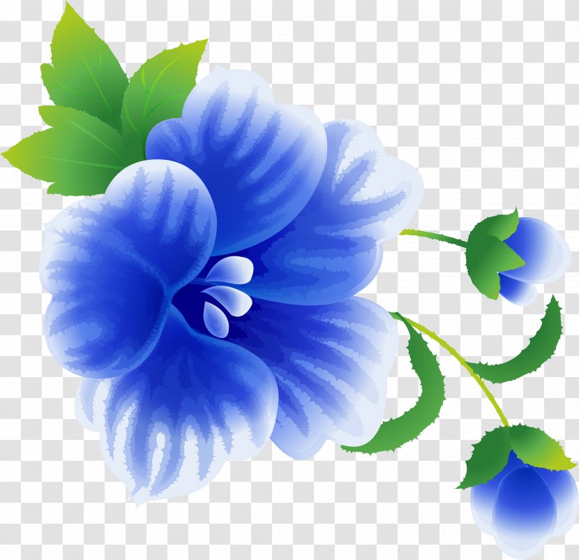 Flower Love Petal .de - Violet Family - Blue Flowers Transparent PNG