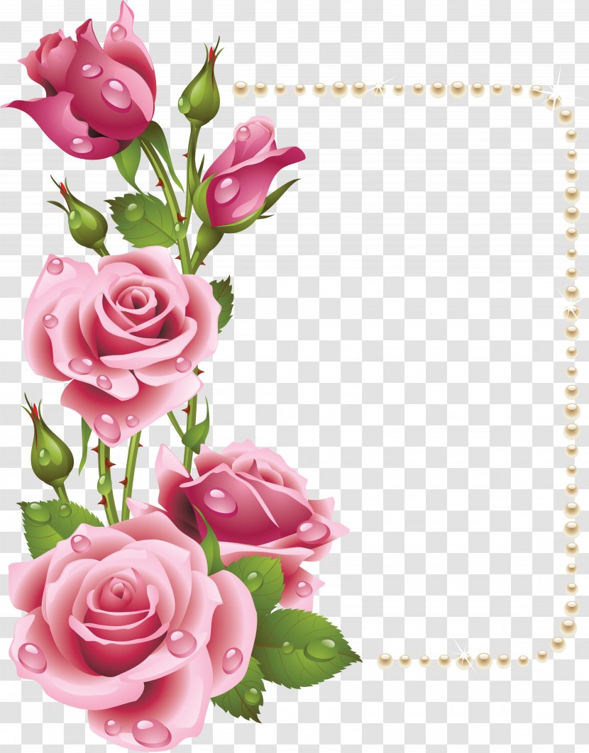 Rose Picture Frame Pink Clip Art - Flower Bouquet - Roses Photo Transparent PNG