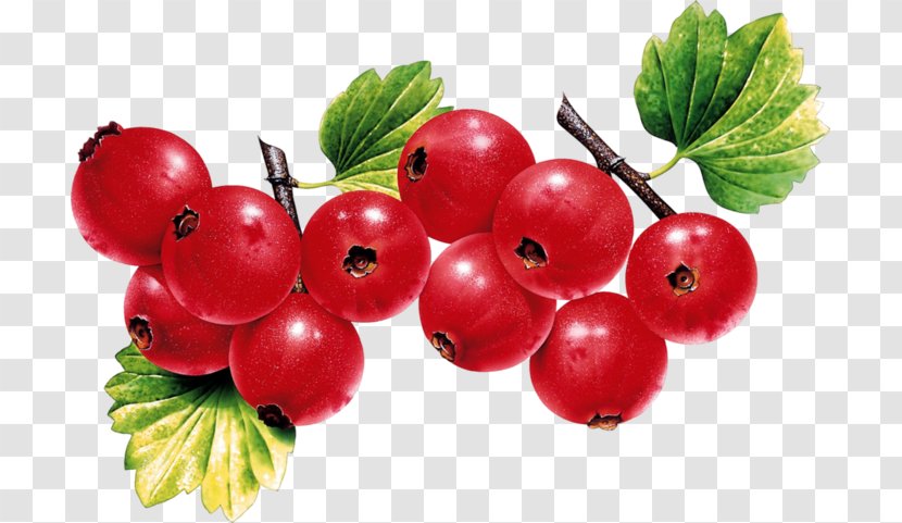 Blackcurrant Redcurrant Fruit Strawberry - Raspberry - Cherry Transparent PNG