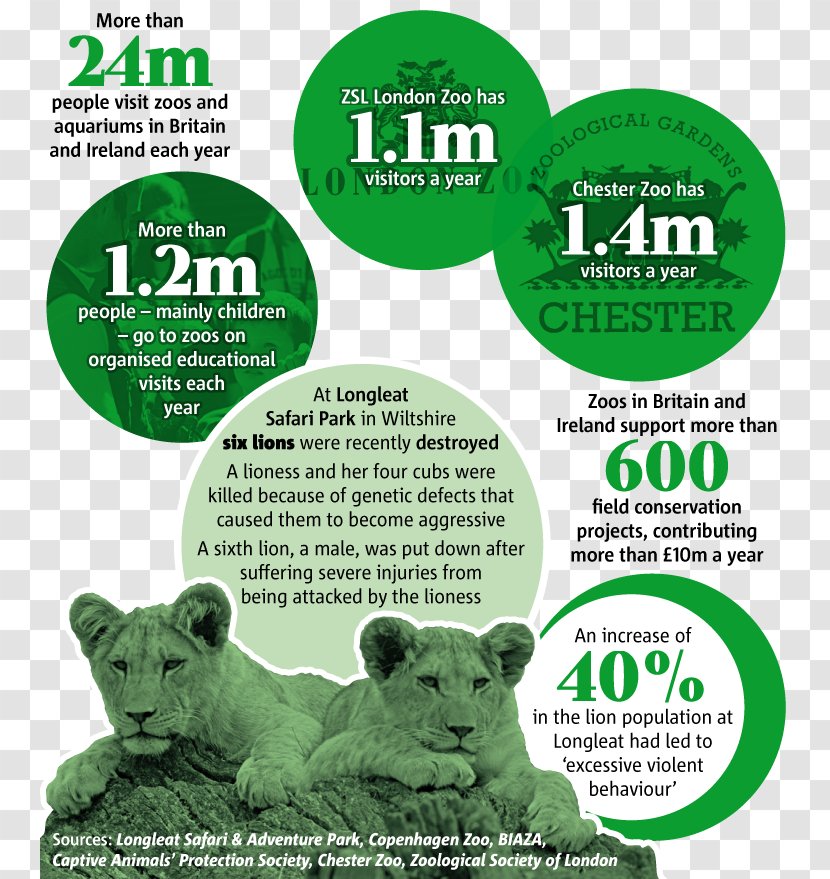 Wildlife Fauna Font - Advertising - Zoo Part Transparent PNG