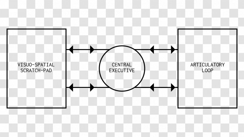 Document Drawing Line /m/02csf - Rectangle Transparent PNG