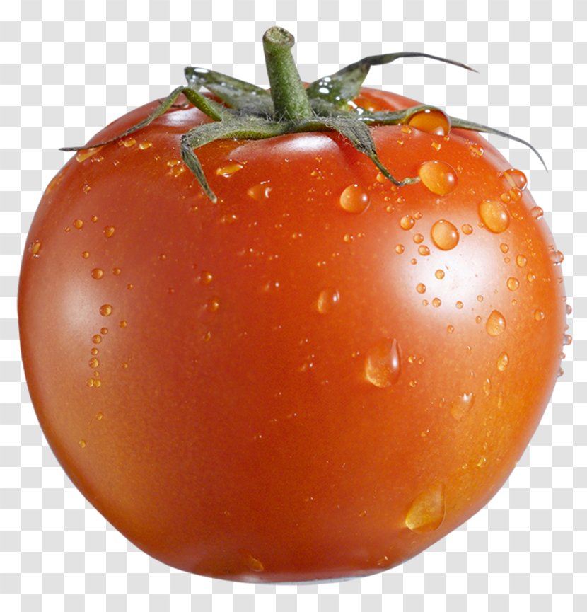 Cherry Tomato Vegetable Fruit Gratis - Water - Wash The Tomatoes Transparent PNG