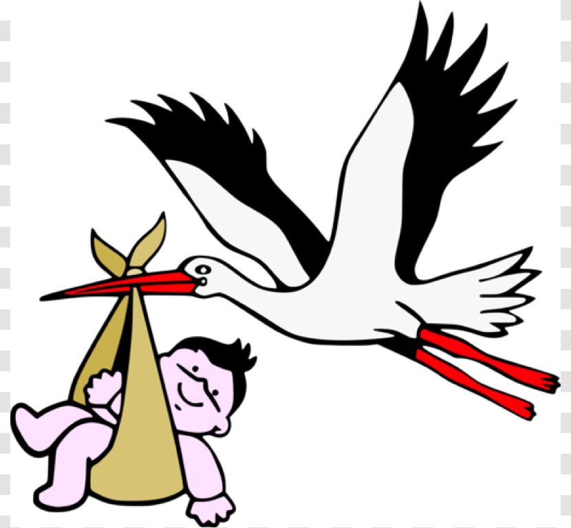 Child Birth Infant Knowledge Obstetrics And Gynaecology - Stork Baby Pictures Transparent PNG