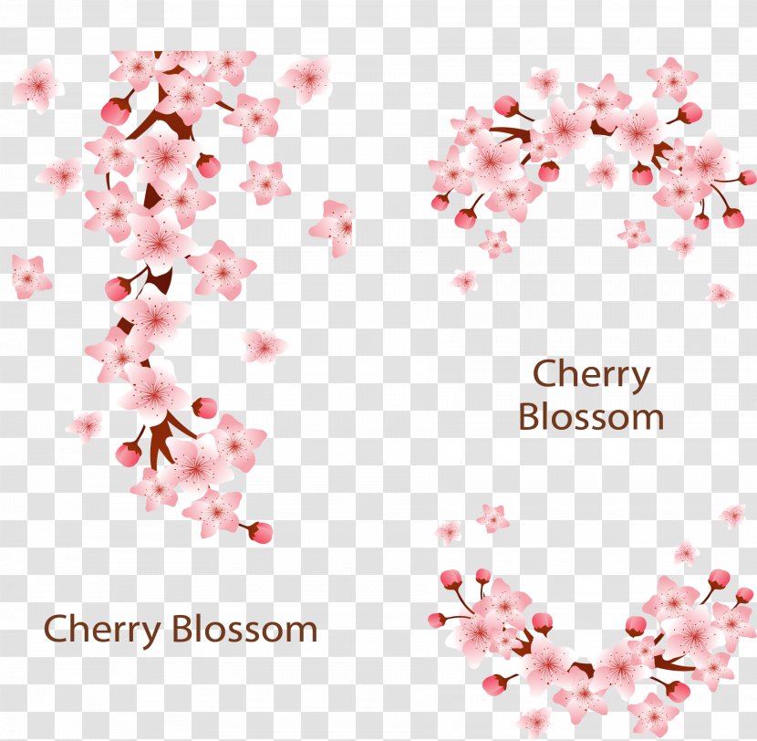 Cherry Blossom Adobe Illustrator - Flower - Pink Romantic Blossoms Transparent PNG